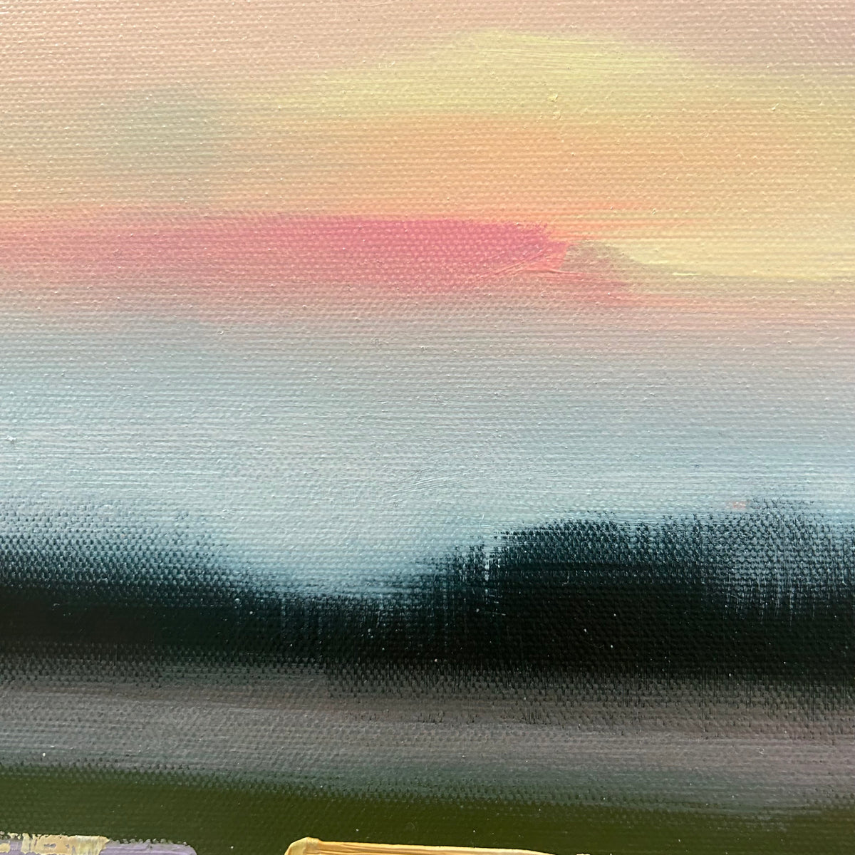 "Sunlit Petals" - 16x16