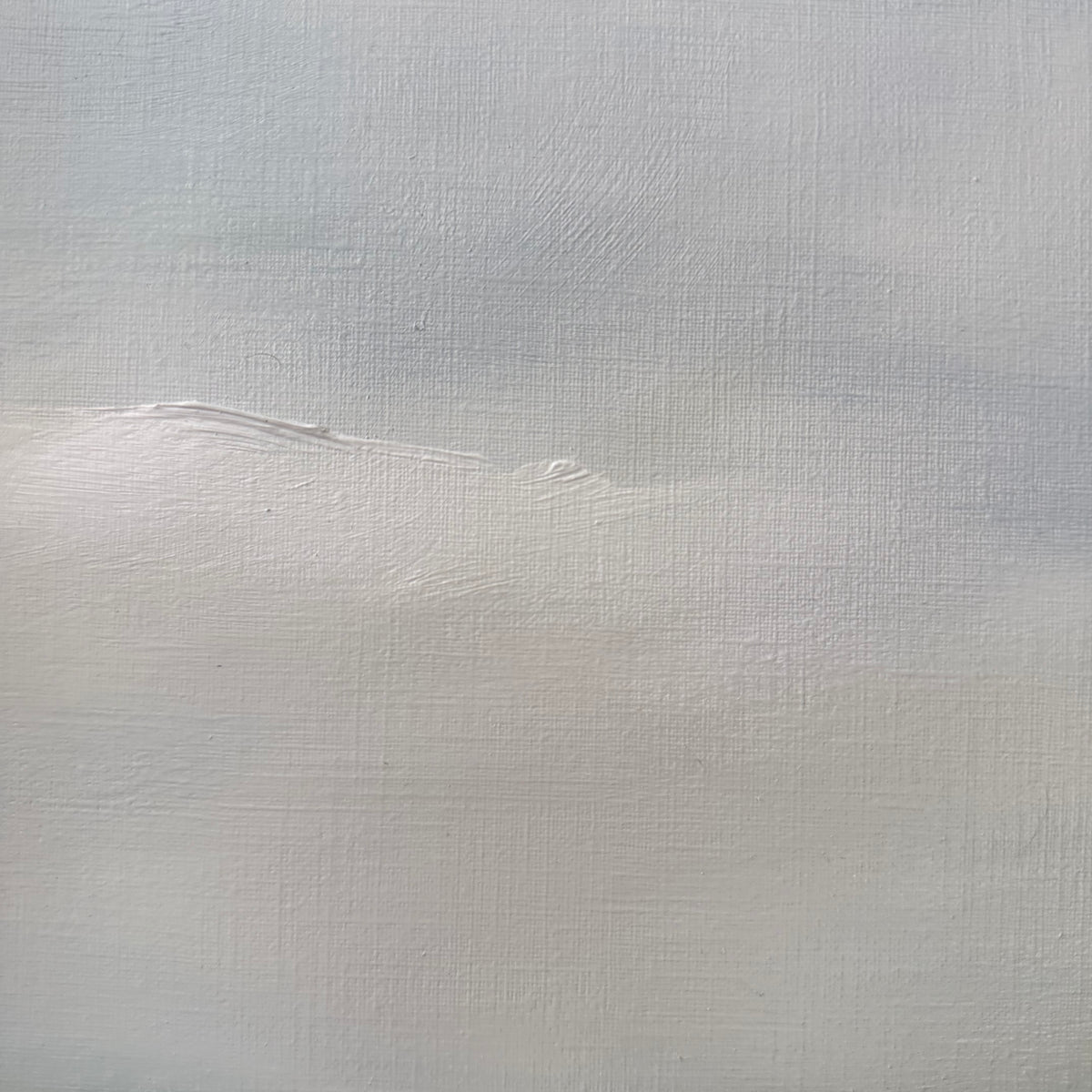 "The Company of Sheep" - 12x16'"