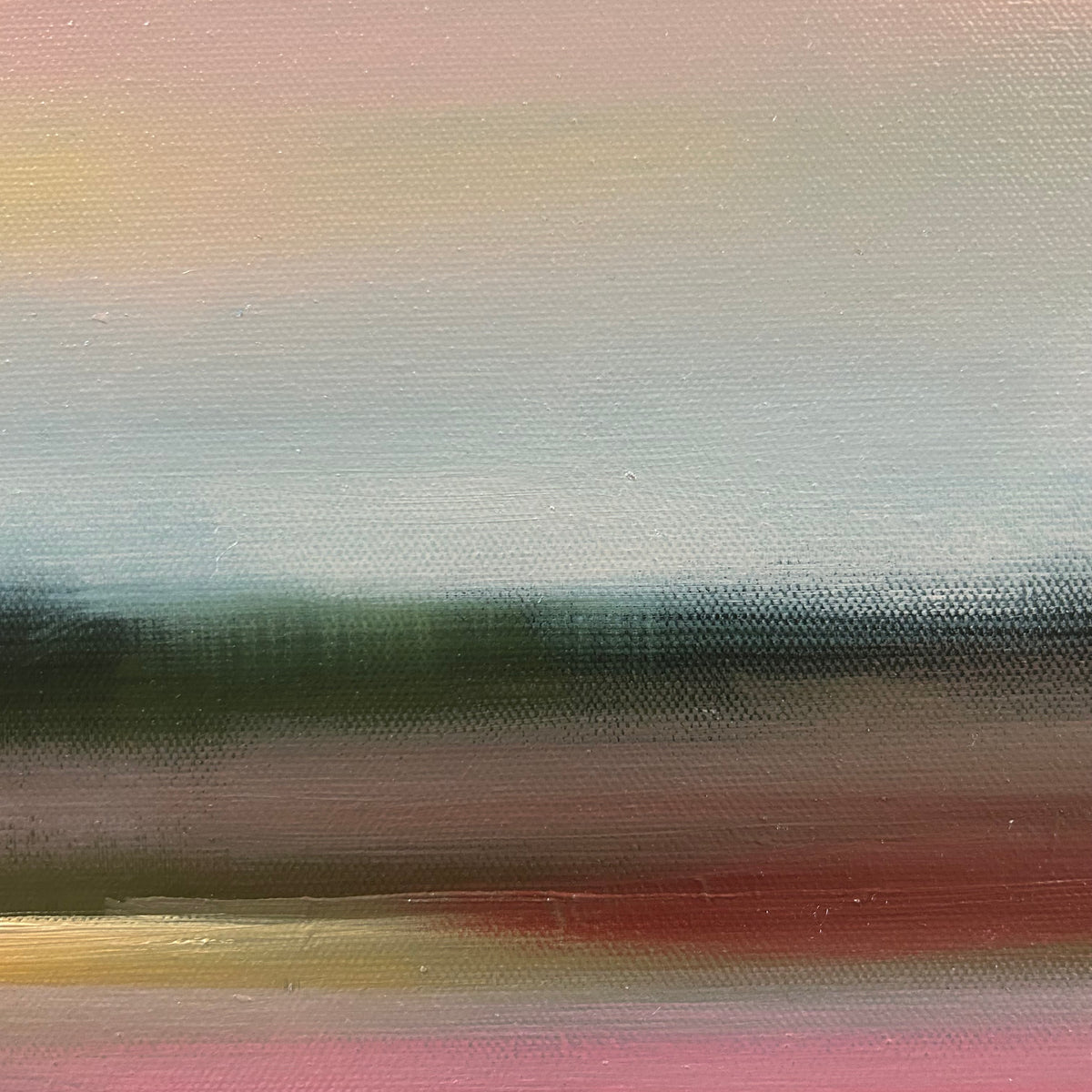 "Sunlit Petals" - 16x16