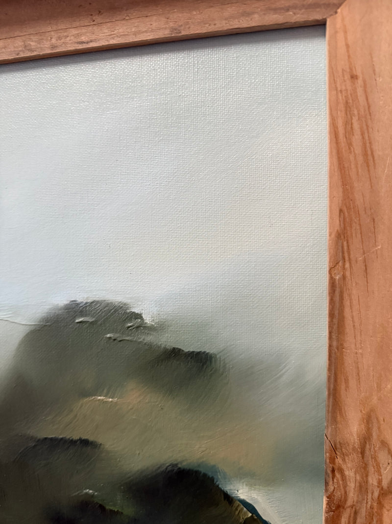 "Countryside Poppies" - 16x20"