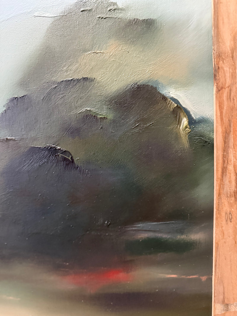 "Countryside Poppies" - 16x20"